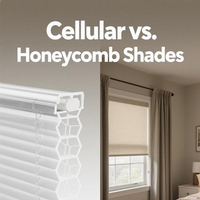 //iirorwxhjomjli5p-static.micyjz.com/cloud/llBpkKjrlmSRjlnpnoomjp/cellular_vs_honeycomb_600x600.jpg